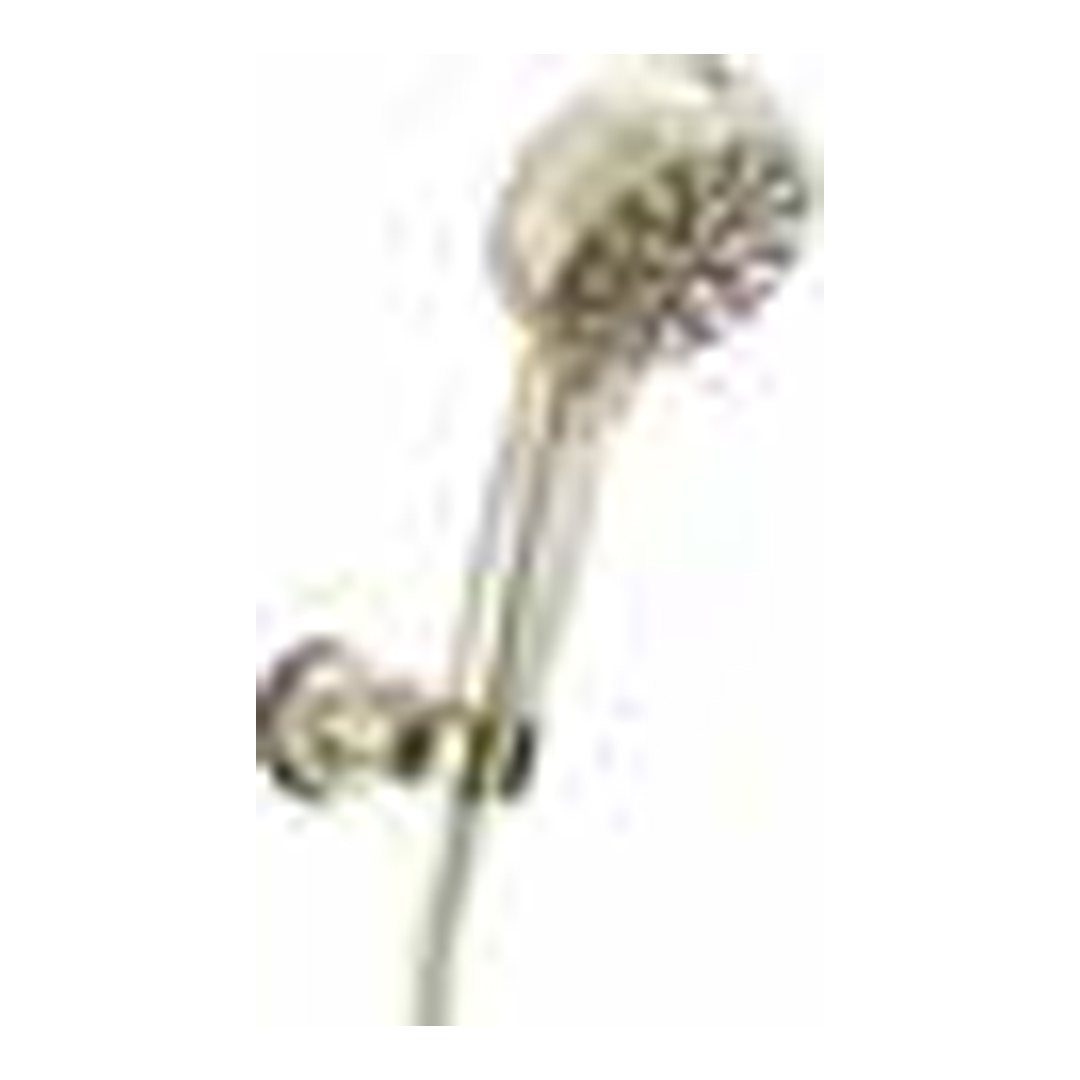 ProClean Multi-Function Shower Head-PN-PR